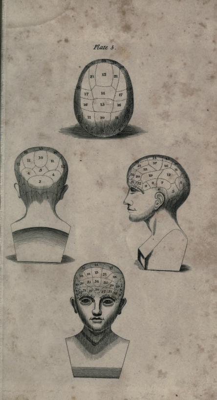 Phrenological diagram taken from "Manual of phrenology: being an analytical summary of the system of Doctor Gall, on the faculties of man and the functions of the brain : translated from the 4th French ed. Philadelphia: Carey, Lea & Blanchard, 1835."  Source:  University of Alberta Libraries.